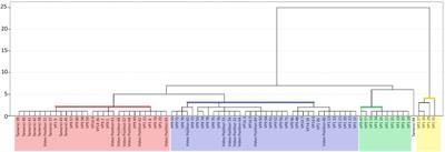 Decoupled Acoustic and Visual Components in the Multimodal Signals of the Common Cuckoo (Cuculus canorus)